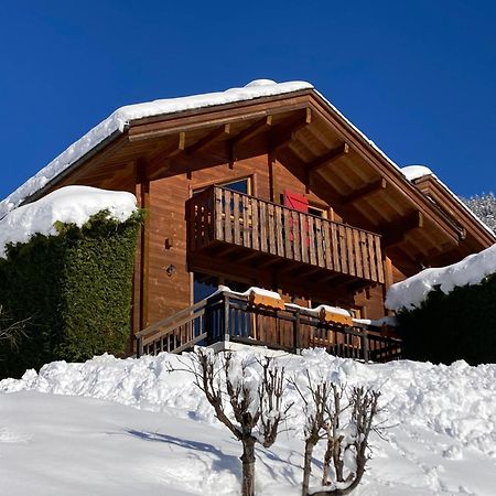 Chalets Du Danay Lachat Saint-Jean-de-Sixt Esterno foto